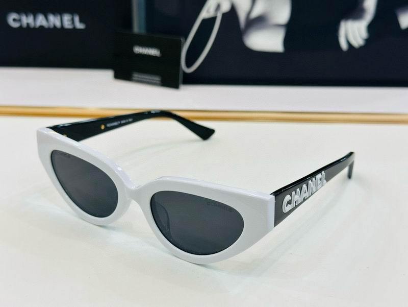 Chanel Sunglasses 2010